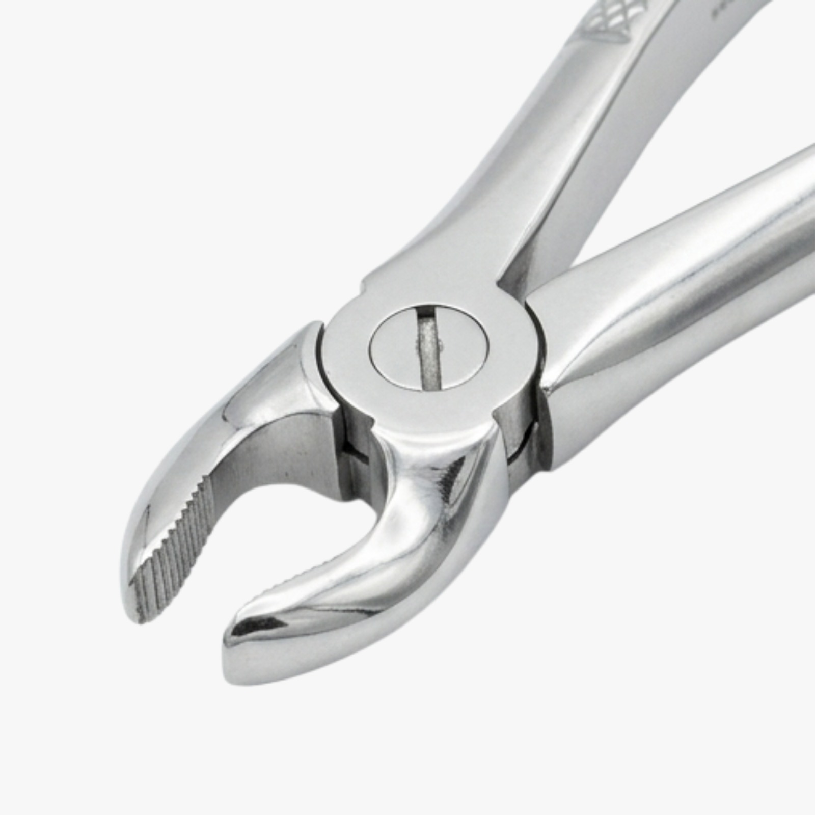 premium-dental-extraction-forceps-lower