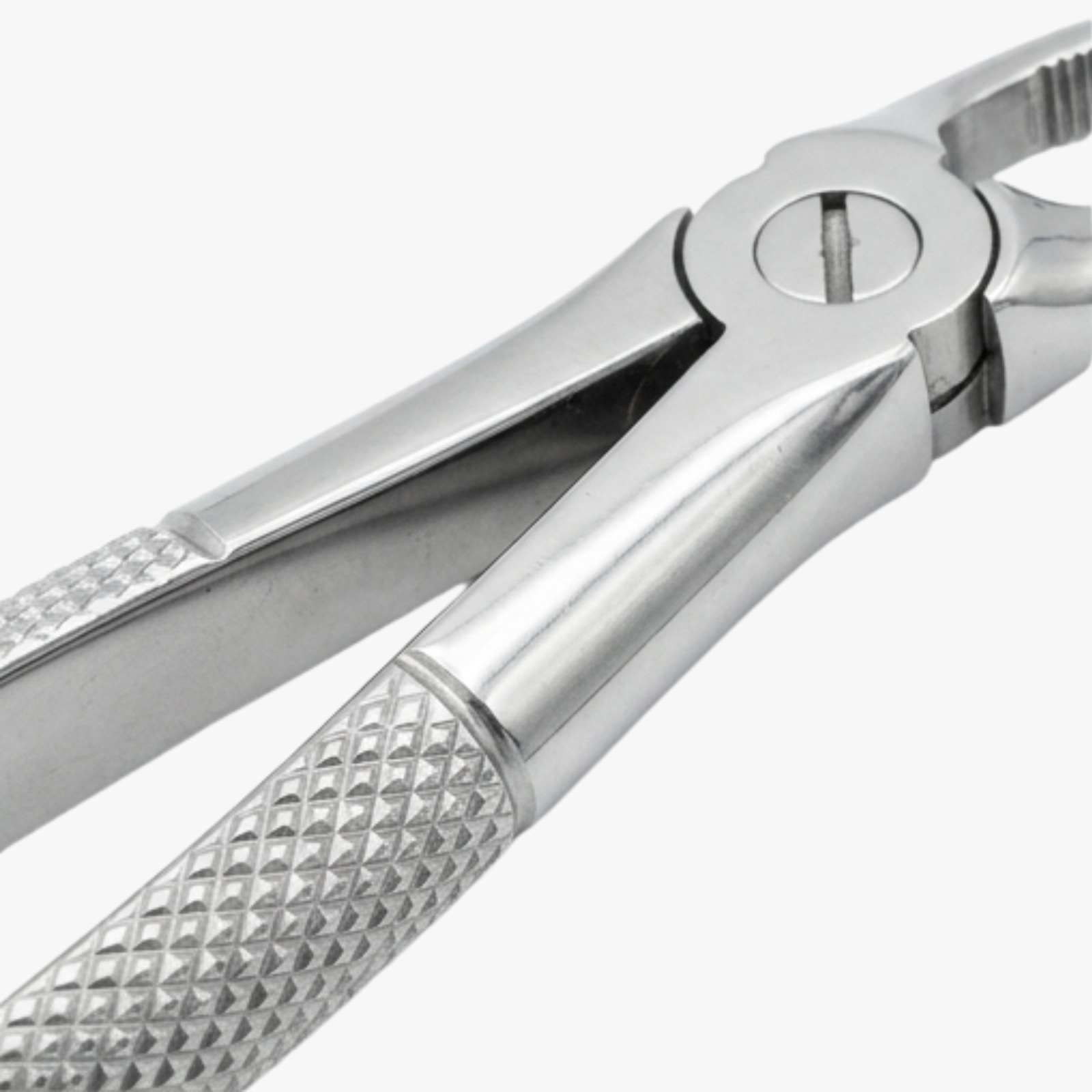 premium-dental-extraction-forceps-lower