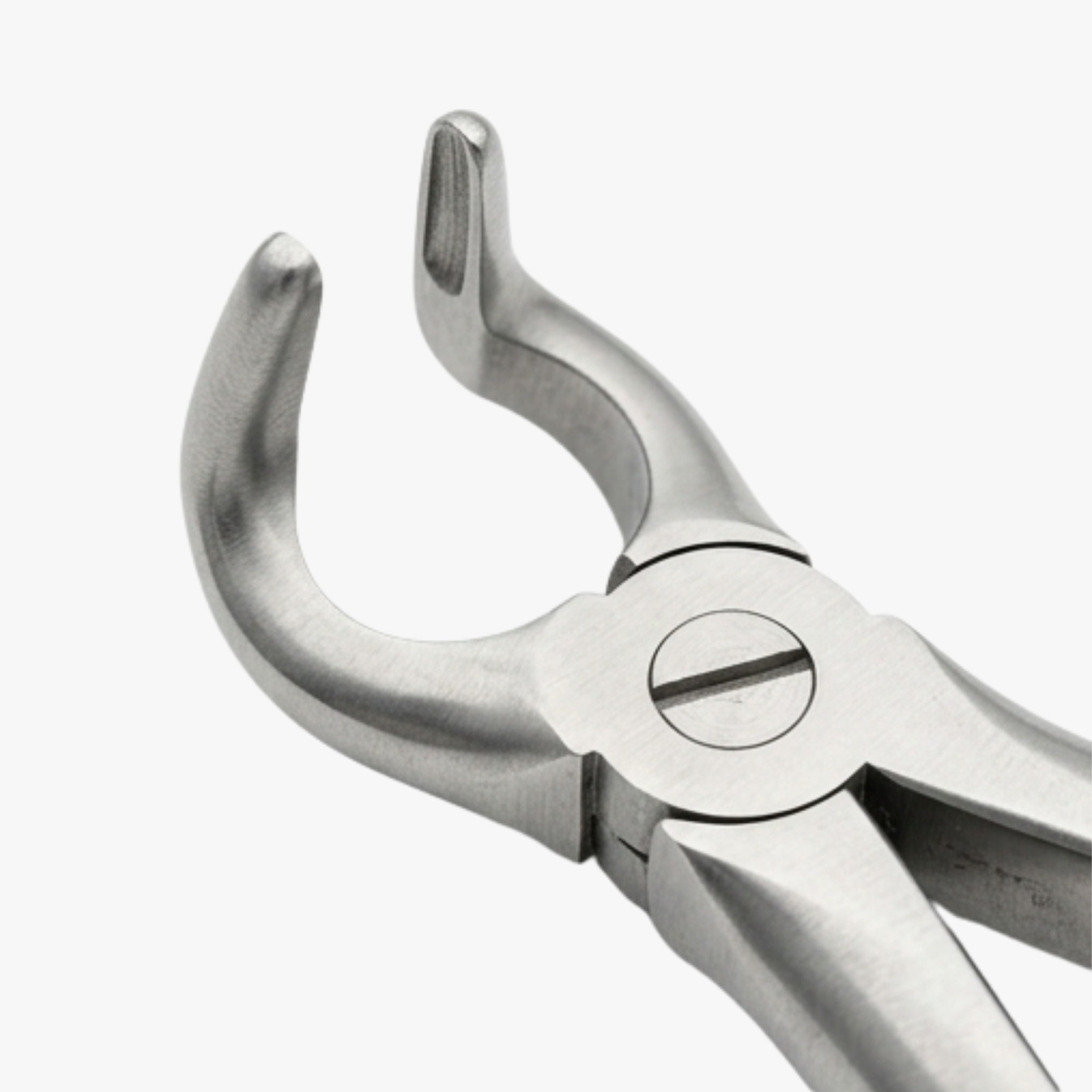 premium-lower-root-extraction-forceps